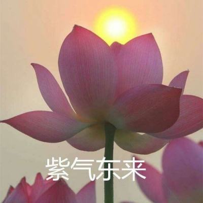 我吃鸡特牛红包版下载